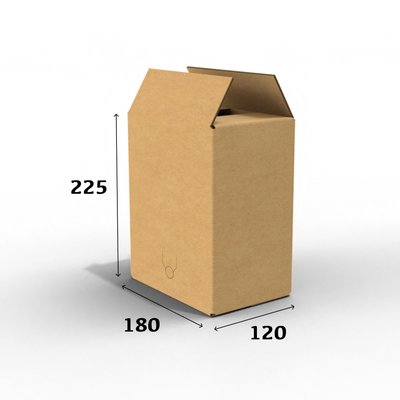 Картонна коробка 180х120х255 для bag in box 5л 01539 фото